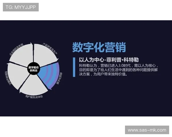 赛事数字资产包定制开发，满足品牌方精准营销需求。